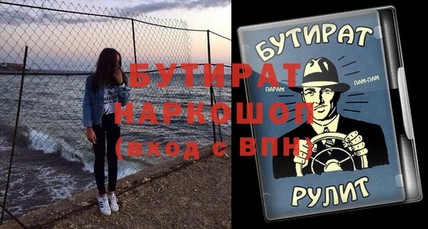 индика Алексин