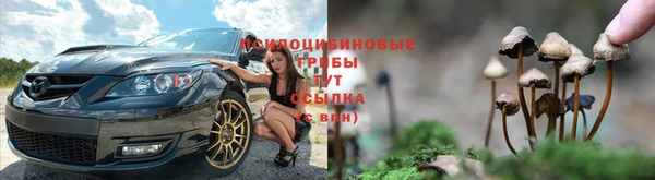 mdpv Алзамай