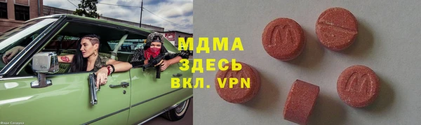 индика Алексин