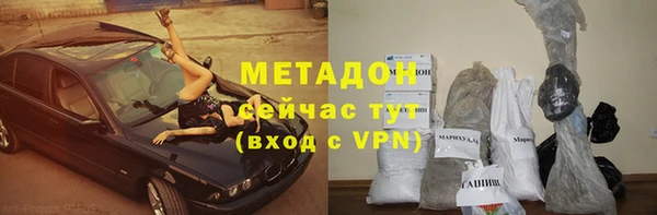 индика Алексин
