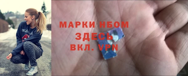 индика Алексин