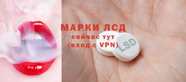 индика Алексин