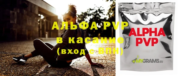 индика Алексин