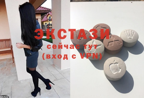 индика Алексин
