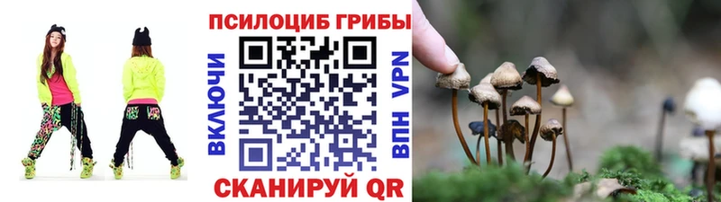 это наркотические препараты  Жигулёвск  Псилоцибиновые грибы GOLDEN TEACHER  закладка 